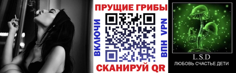 Псилоцибиновые грибы Magic Shrooms где найти наркотики даркнет телеграм Уфа ОМГ ОМГ зеркало