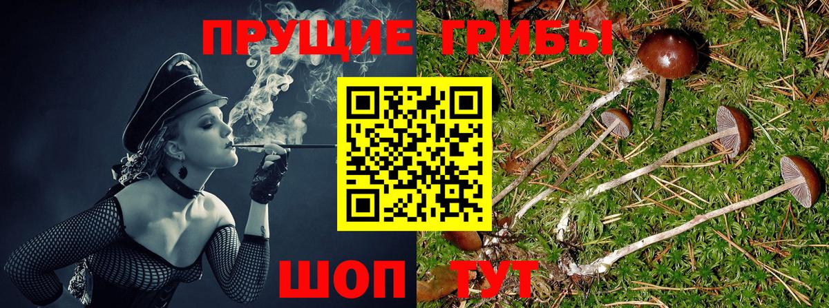 Галлюциногенные грибы прущие грибы Уфа