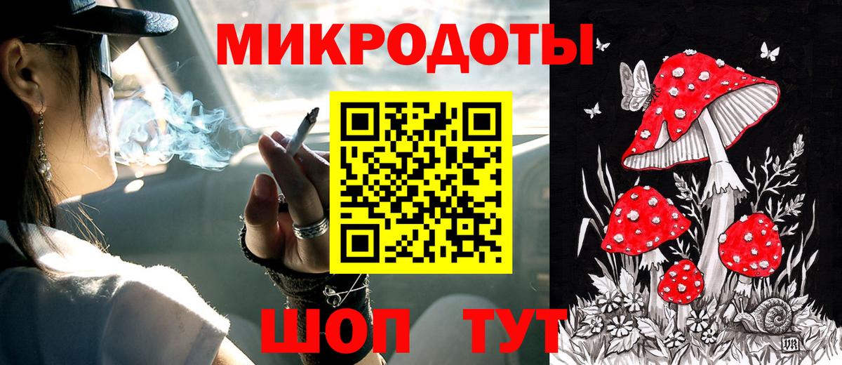 Галлюциногенные грибы Psilocybine cubensis  Уфа 